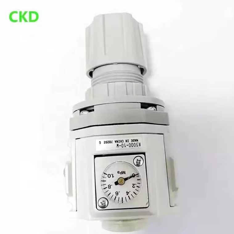 Bộ lọc CKD R3000-10-W